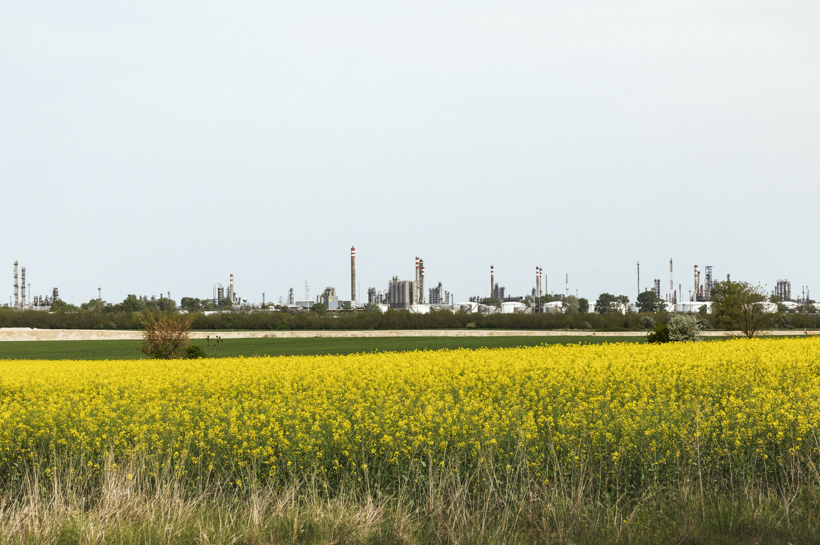The Hungarian Biorefinery Pannonia Bio is cutting CO₂ emissions with a Vahterus reboiler, enabling carbon footprint reduction