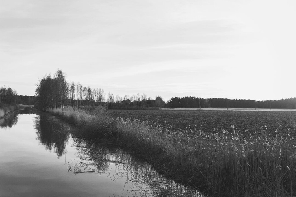 River bw 2x3